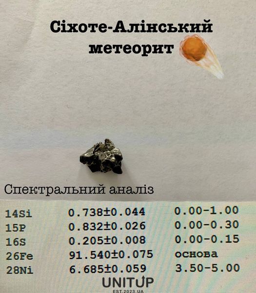 Медальйон з необробленим метеоритом (001) 4252370000012 фото