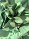 Бафф Daiwa Neckgaiter Green Camo 18206-102 фото 6